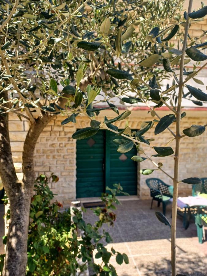 Dalmatia Rustica Comfortable One Bedroom+Fireplace Zadar Eksteriør bilde