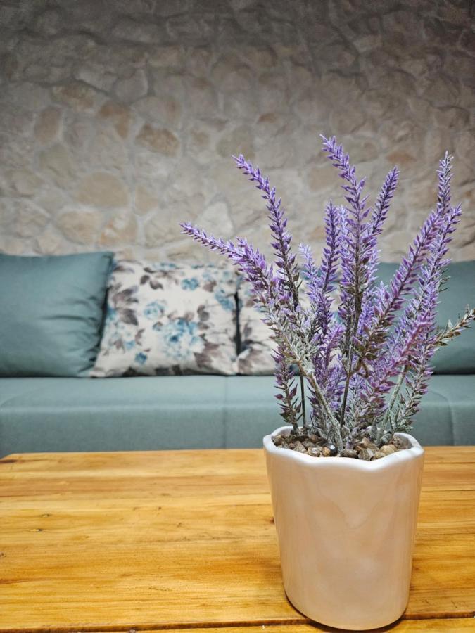 Dalmatia Rustica Comfortable One Bedroom+Fireplace Zadar Eksteriør bilde